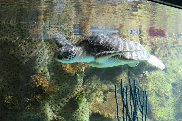 学びと触れ合いの場に最適！ウィーンの廃墟水族館「ハウス・デス・メーレス」