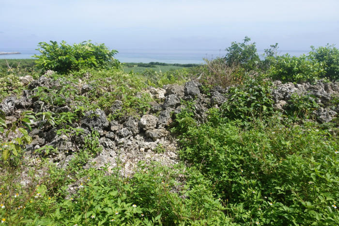 南十字星が見られる！有人日本最南端の島 八重山諸島・波照間島の魅力を徹底解説します。