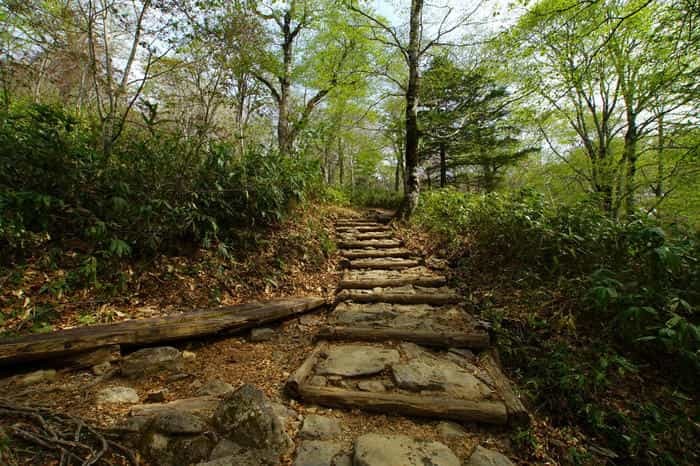 いざ水芭蕉の楽園へ！初心者でも日帰りできる尾瀬ヶ原ハイキングコース