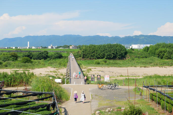 Hv_koud気分は時代劇！京都八幡の上津屋橋こと流れ橋で夕暮れを撮るu13-thumb-700x466-232185.jpg