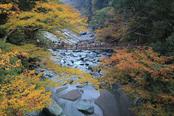 【四季と宿をめぐる旅】徳島県〜食欲の秋！祖谷渓温泉ホテル秘境の湯とかずら橋ライトアップ〜