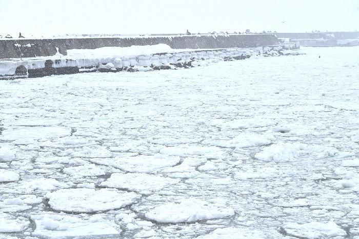 寒さの中に感動がある！網走流氷砕氷船「おーろら」で氷の海を突き進む