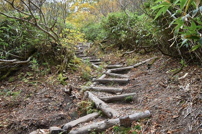 【北海道】「カムイミンタラ（神々の遊ぶ庭）」と呼ばれる大雪山系・黒岳で紅葉をめでる