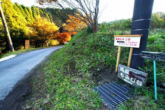 千葉房総の奥座敷！養老渓谷で渓谷ハイキング＆温泉グルメ三昧