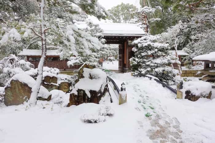 冬の長浜！大阪から日帰りで体験できる美しい雪景色を体験