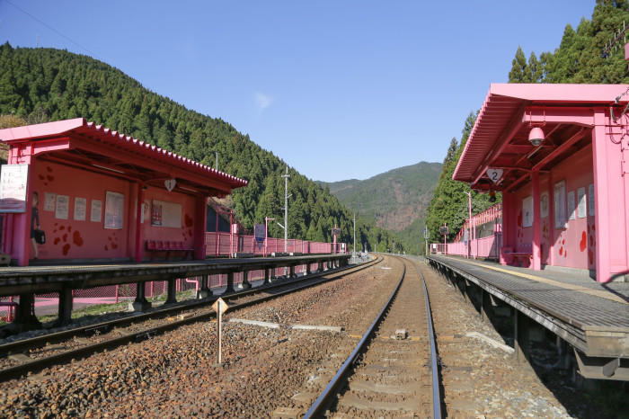 週末に出掛けたい。1泊2日で巡る鳥取旅