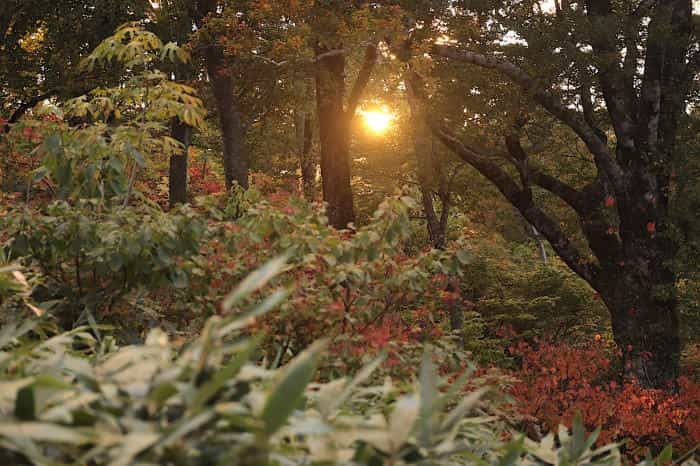 私のマイクロツーリズム宿泊編〜白山登山で愛される平瀬「温泉民宿 いで湯 山水」で前乗りの旅〜