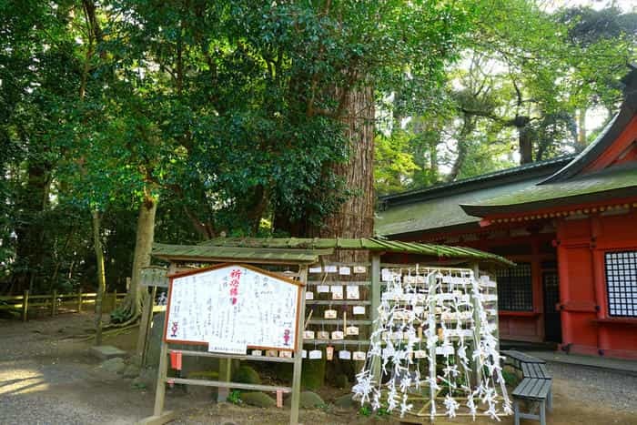 【茨城】鹿島神宮は東国最強のパワースポット！歴史・見どころ・ご利益・御朱印を徹底取材