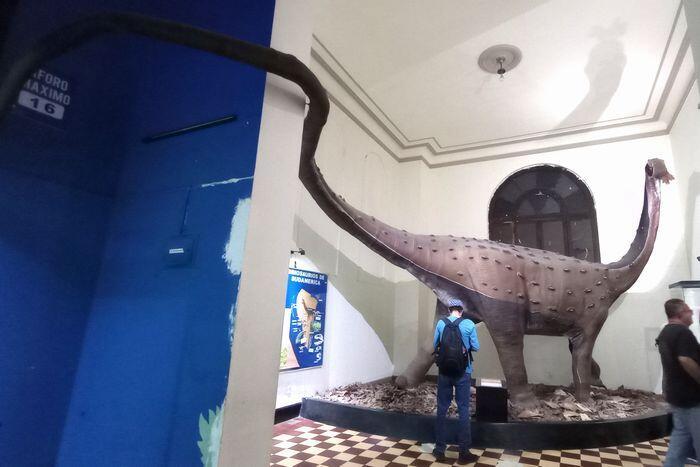 【ペルー】リマ自然史博物館と、史上最も重い動物「ペルセトゥス・コロッスス」の化石
