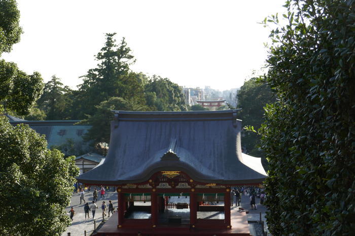 【鎌倉歴史さんぽ：入門編】源頼朝ゆかりの「鶴岡八幡宮」へ