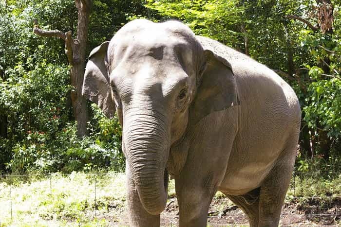 【徹底取材】よこはま動物園ズーラシアの攻略法・アクセス・混雑状況まで！家族サービスにもデートにもおすすめです！