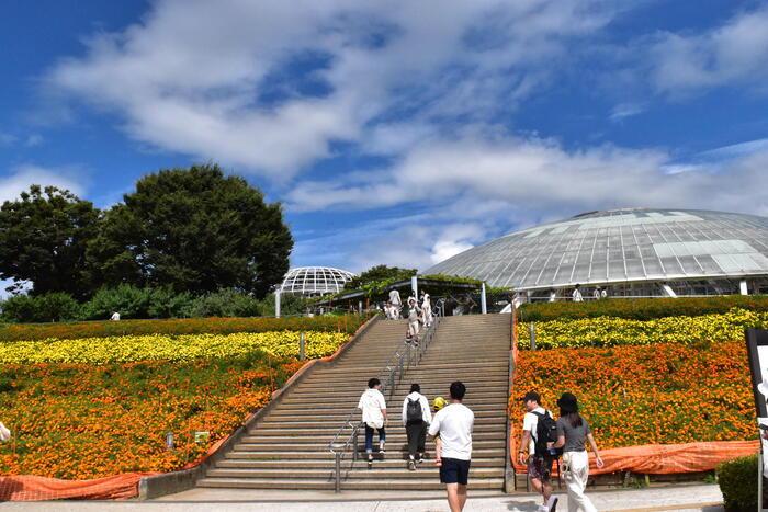 子どもと笛吹川フルーツ公園（山梨）を巡ってみた！ 行き方や園内スポットを紹介