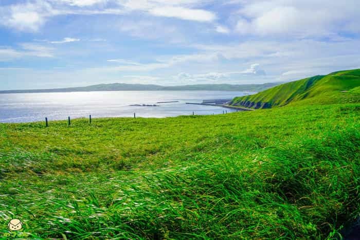 絶景の連続!北海道・礼文島でトレッキングを楽しもう~岬めぐりコース編~