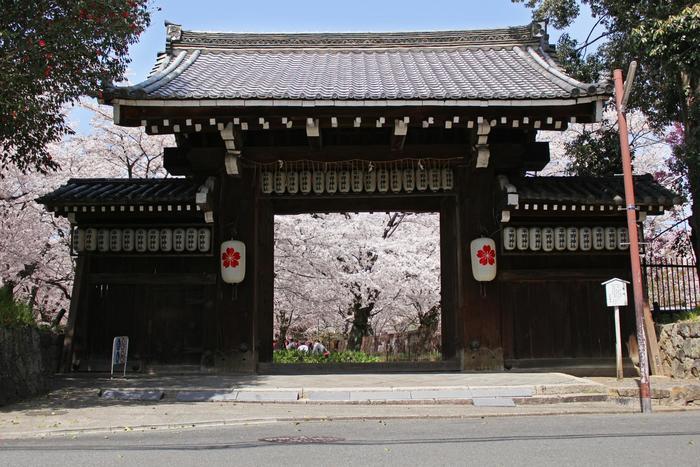 【京都】北野天満宮の見どころガイド～七不思議や周辺スポット紹介も～