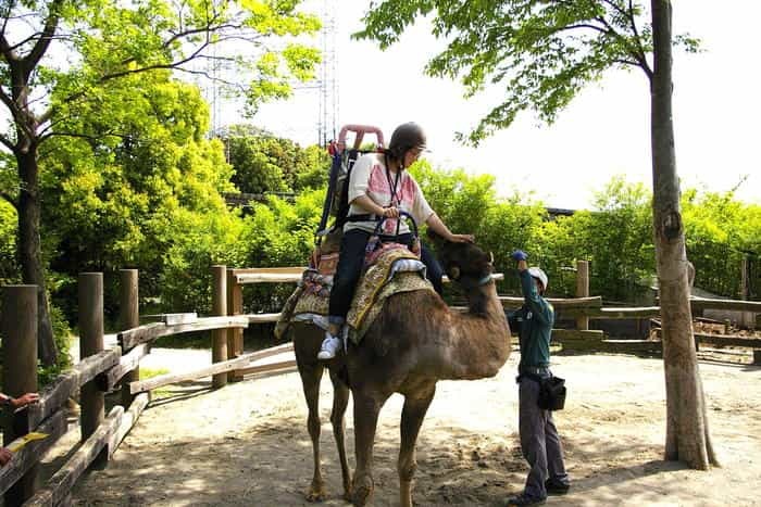 【徹底取材】よこはま動物園ズーラシアの攻略法・アクセス・混雑状況まで！家族サービスにもデートにもおすすめです！