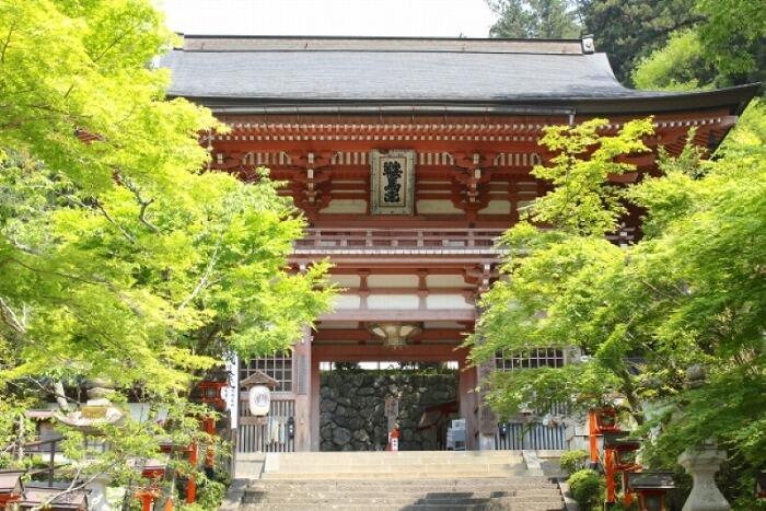 真夏に行きたい！京都市内の避暑地「夏らしい風情のある神社仏閣5選」