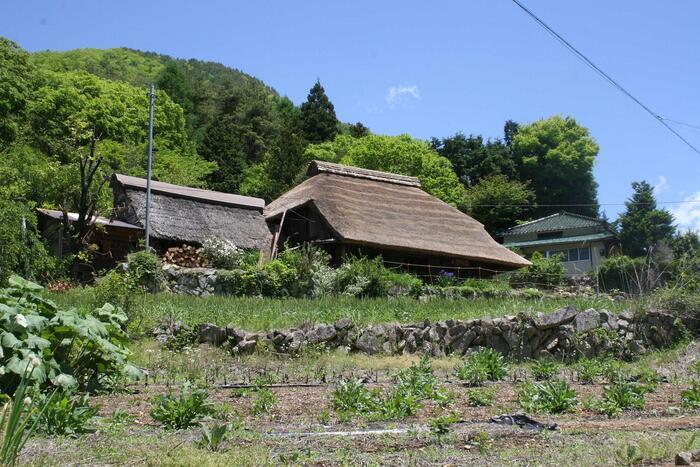 【山梨県】FUJIYAMAツインテラス から見る富士山と河口湖の絶景