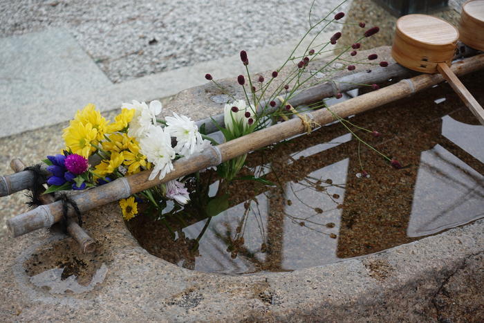 【兵庫県尼崎市】繊細で素敵な御朱印がいただける水堂須佐男神社