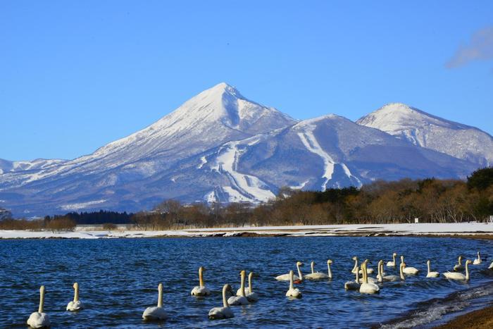 福島の人気観光地・猪苗代湖と周辺のおすすめスポットを徹底取材！ しぶき氷や遊覧船を満喫