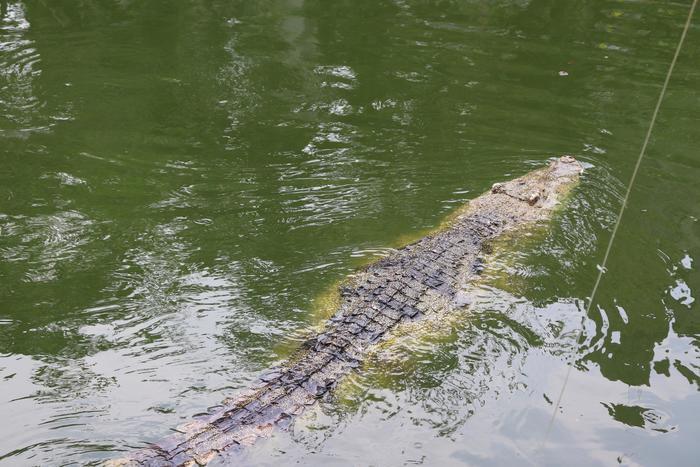 ベトナムの『奇怪遺産』スイティエン公園がすごすぎる!!!