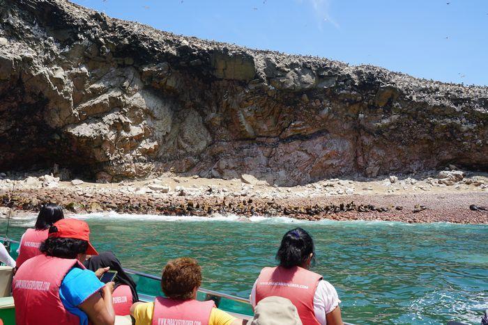 ペルーのリトル・ガラパゴス、パラカスのバジェスタス諸島