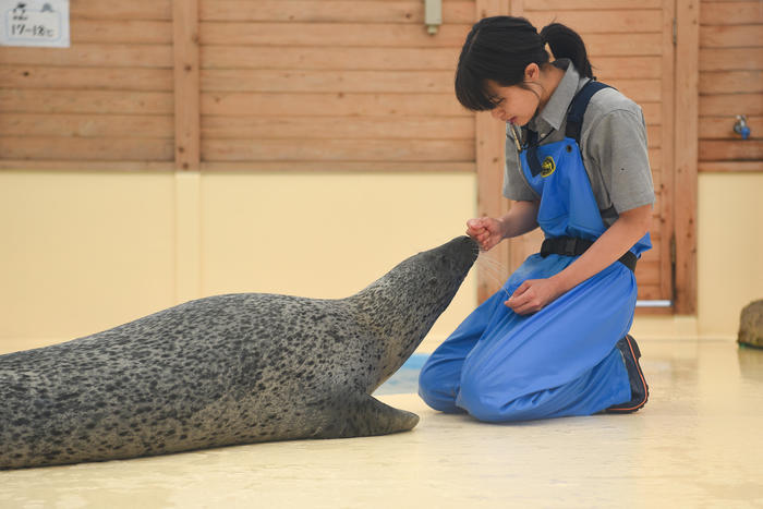 日本最大級の水族館「名古屋港水族館」の見どころを紹介！イルカ・シャチ・ベルーガのショーは必見