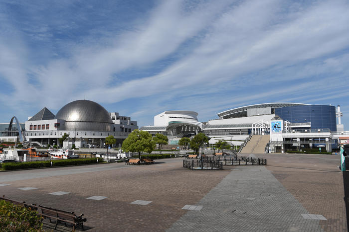 日本最大級の水族館「名古屋港水族館」の見どころを紹介！イルカ・シャチ・ベルーガのショーは必見