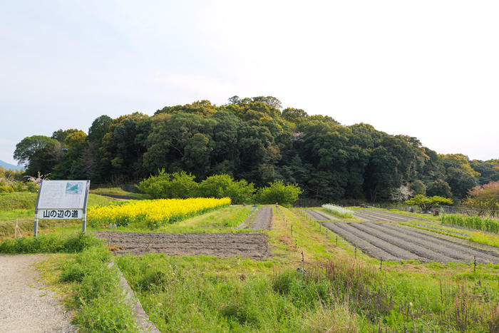 隠れた奈良の絶景ポイント？全長約16kmの古代散歩道「山の辺の道」