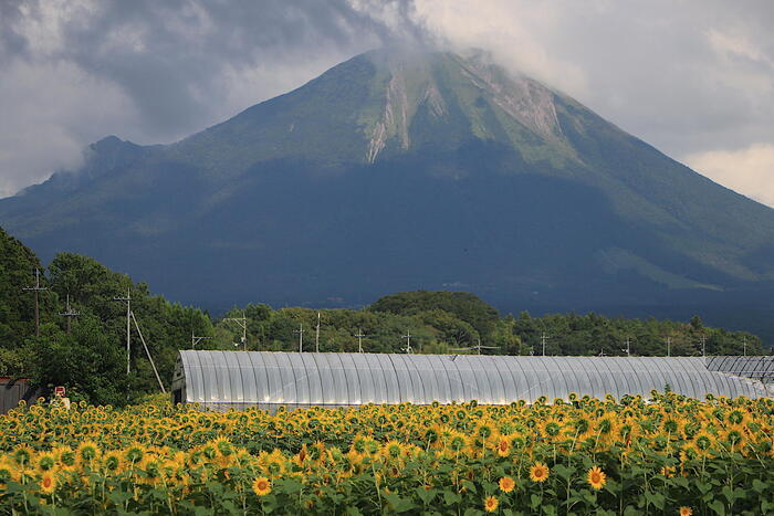 【山と秘湯をめぐる】鳥取県〜郷土富士・大山と鳥取最高所の豪円湯院〜