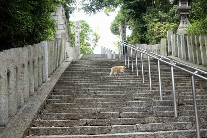 【歴史散歩】大阪・天王寺七坂で往時を偲ぶ