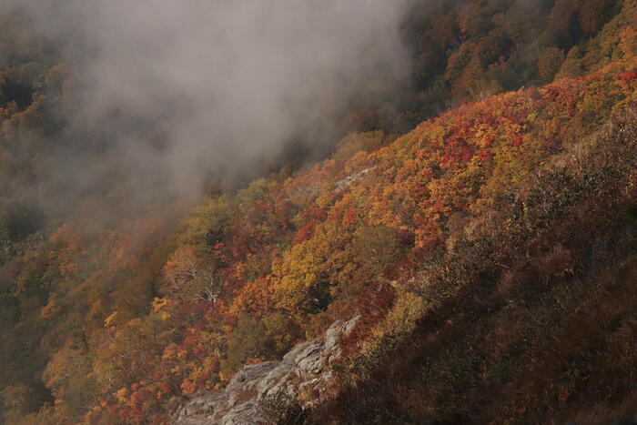 【山と秘湯をめぐる】長野県〜紅葉の名山・雨飾山と山腹の雨飾高原露天風呂〜