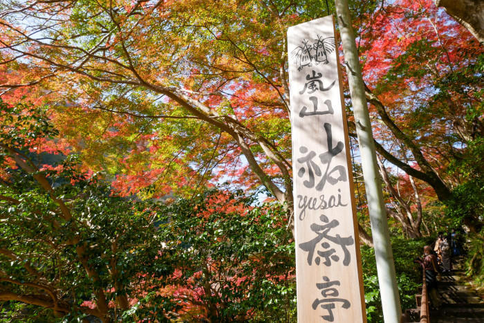 本物の水鏡が美しすぎる！嵐山「祐斎亭」の見どころ・予約方法・行き方まとめ