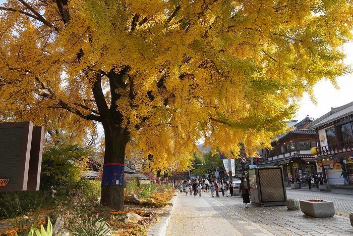 【韓国】ソウルからの日帰り地方旅は、秋の全州がおすすめ！