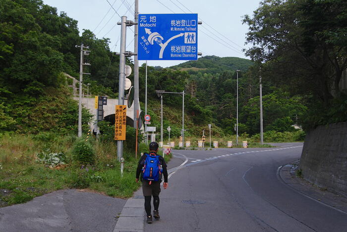 【四季と宿をめぐる旅】北海道〜ペンションうーにーと礼文島の高山植物〜