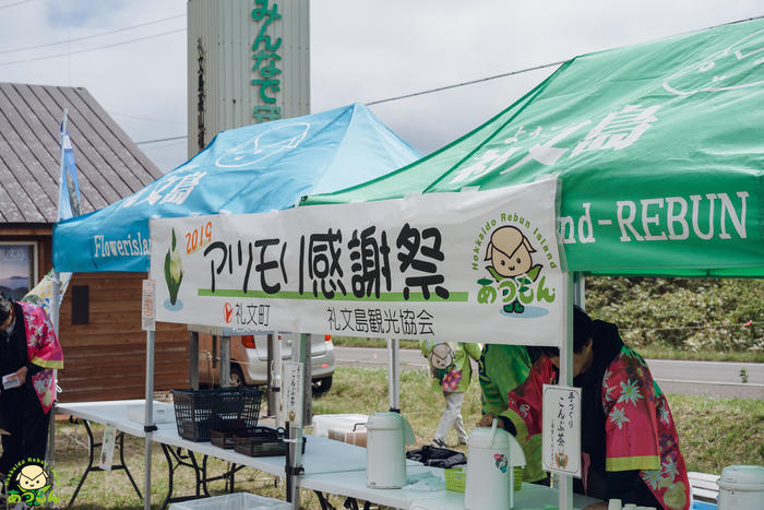 礼文島のアツモリ感謝祭に行ってみた！