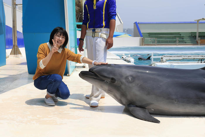 千葉・鴨川シーワールドの見どころを徹底解説！スタッフに聞いたおすすめの周り方もご紹介