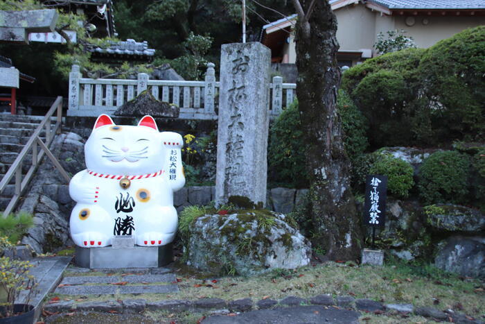 【徳島】猫神様に合格祈願！？「お松大権現」は猫好き必訪のパワースポット