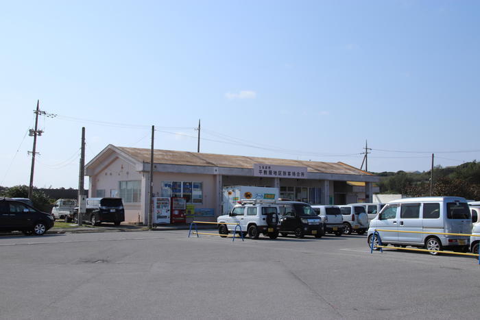 小さなキャロットアイランド！沖縄の離島・津堅島に行ってみよう