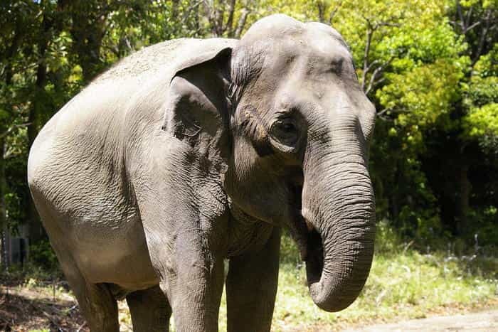 【徹底取材】よこはま動物園ズーラシアの攻略法・アクセス・混雑状況まで！家族サービスにもデートにもおすすめです！