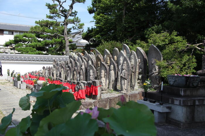 行基さんの奈良・喜光寺の蓮の花