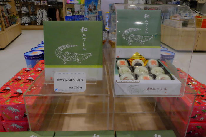 【大阪府／吹田市】水族館や動物園が融合した観光スポット・ニフレルを徹底解説！