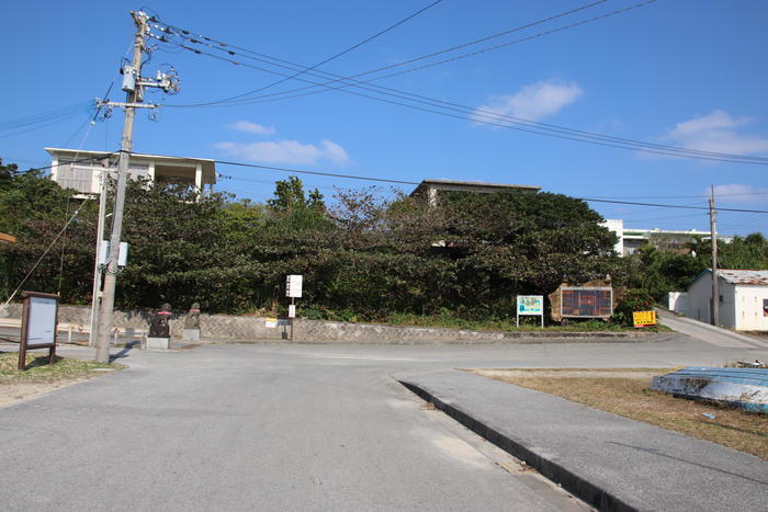 小さなキャロットアイランド！沖縄の離島・津堅島に行ってみよう