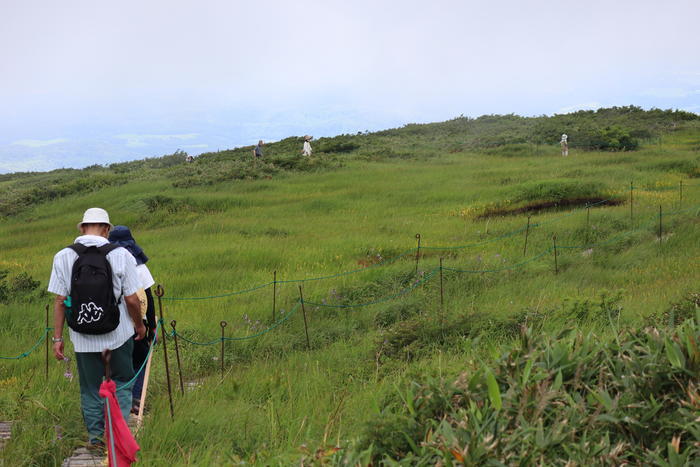 【山形】月山八合目・弥陀ヶ原湿原の歩き方