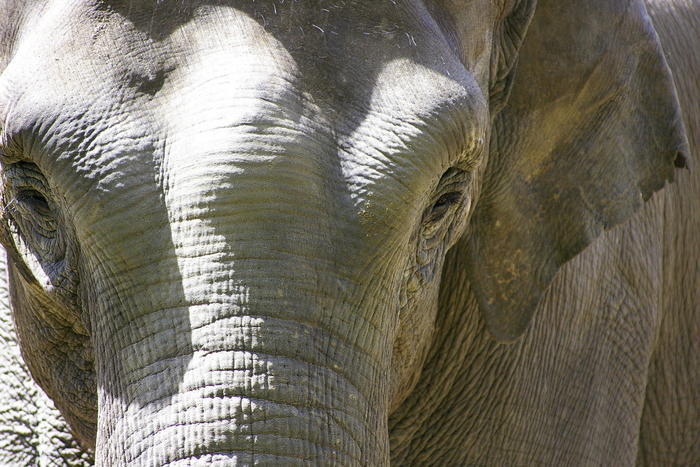 【徹底取材】よこはま動物園ズーラシアの攻略法・アクセス・混雑状況まで！家族サービスにもデートにもおすすめです！