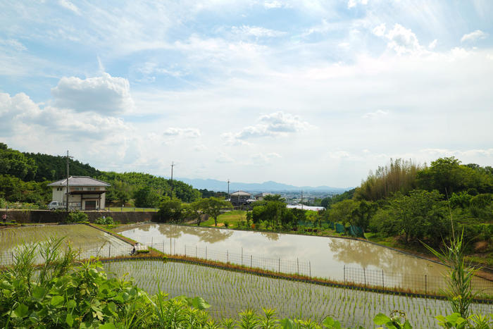 隠れた奈良の絶景ポイント？全長約16kmの古代散歩道「山の辺の道」