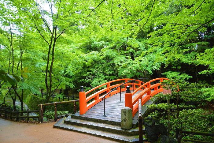 【京都】北野天満宮の見どころガイド～七不思議や周辺スポット紹介も～