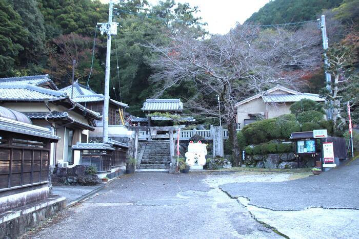 【徳島】猫神様に合格祈願！？「お松大権現」は猫好き必訪のパワースポット