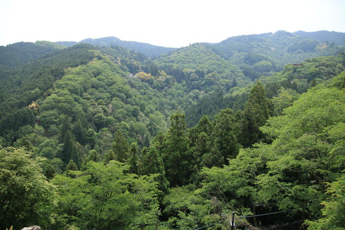 【私の好きな日本遺産】奈良県「吉野」は、自然と人の共生を垣間見られる奥大和の原風景