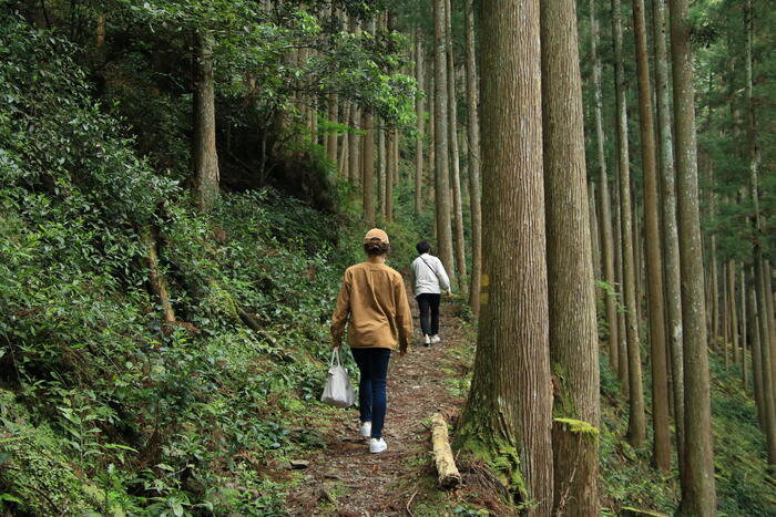 【私の好きな日本遺産】奈良県「吉野」は、自然と人の共生を垣間見られる奥大和の原風景