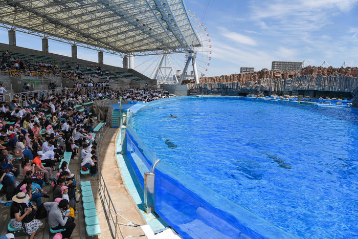 日本最大級の水族館「名古屋港水族館」の見どころを紹介！イルカ・シャチ・ベルーガのショーは必見